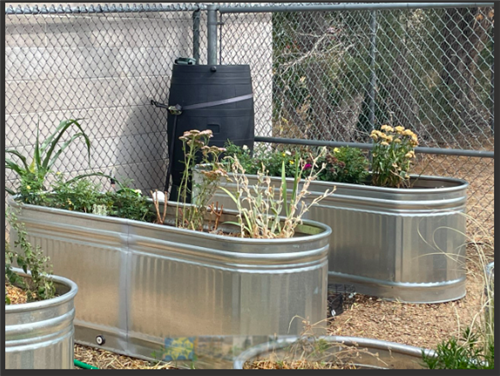 Garden Club 